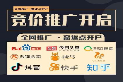 探索专业SEM托管的奥秘：从案例看效果